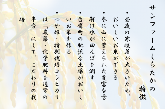 令和6年産雪若丸白米10kg - サンファームしらたか 令和6年産雪若丸白米10kg - サンファームしらたか