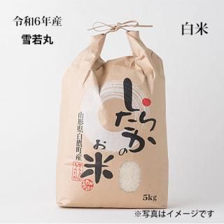 6ǯ10kg