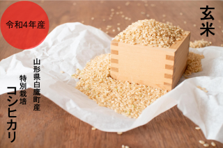 令和3年産特別栽培コシヒカリ玄米10kg