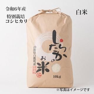 6ǯ̺ݥҥ10kg