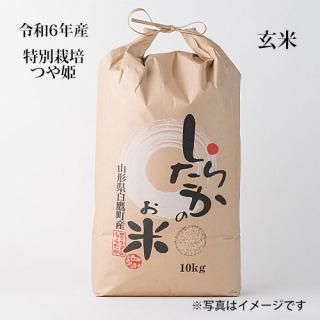 6ǯĤɱ10kg