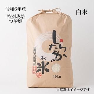 6ǯĤɱ10kg