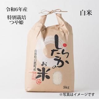 6ǯĤɱ5kg