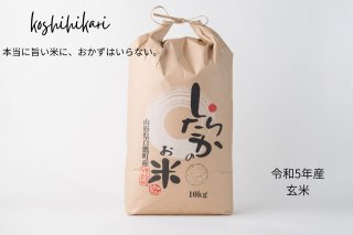 令和5年産特別栽培コシヒカリ玄米10kg