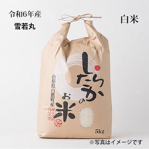令和6年産雪若丸白米5kg - サンファームしらたか 令和6年産雪若丸白米5kg - サンファームしらたか