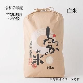 7ǯĤɱ10kg
