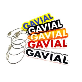 【GAVIAL】 acrylic key charm