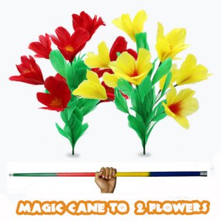 Magic Cane to 2 Flowers to ե