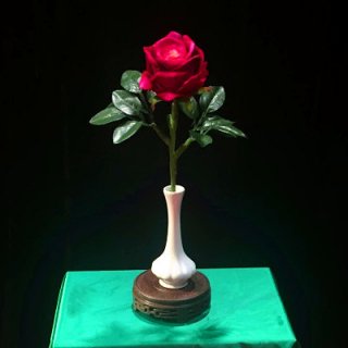 ɥWithered Rose