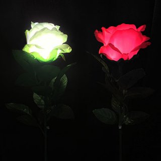 スーパーライトローズ〜Super Light Rose〜デライトと組み合わせて使うおしゃれな光のマジック！!