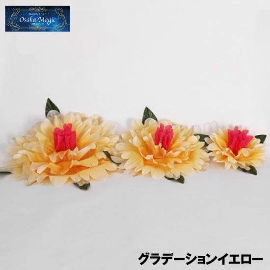 ジャンボフラワープロダクション~Peony Production~|本格派 ジャンボフラワープロダクション~Peony Production~|本格派