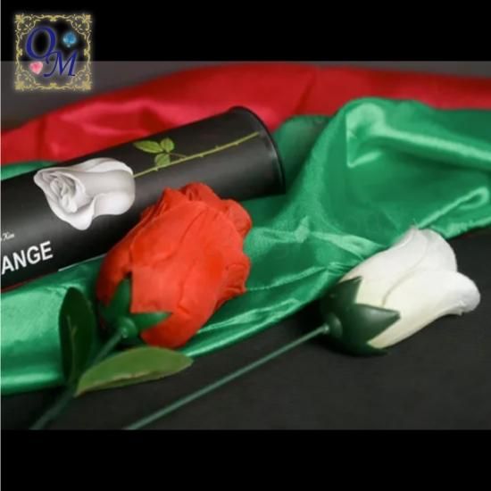 ローズチェンジ～Rose Change by Hyun Soo Kim～｜本格派