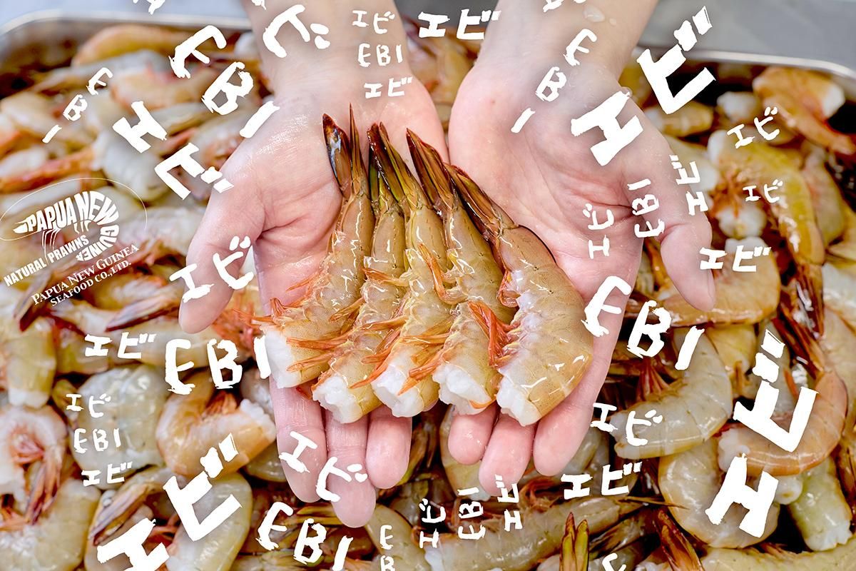 エンデバーエビSSサイズ | 400g | 小さなエビのB級品を使った天然エビ