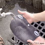 Ǯк 뤵к ˹ å å奭å Ȥ gif