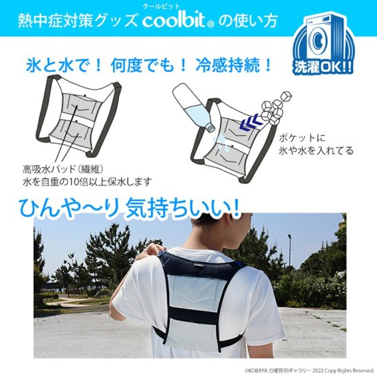 coolbit クールビット アイスポケット 冷袋 4CL-IP2 特許取得 冷
