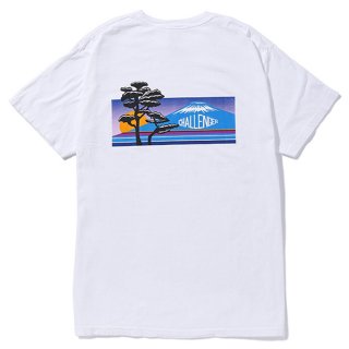 CHALLENGER/NATURE JPN TEE/ۥ磻