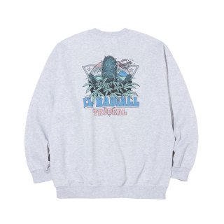 RADIALL/TRUE DEAL POT-CREW NECK SWEATSHIRT L/S/ASH GRAY