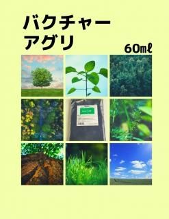 バクチャーパウダー60g - IDA
