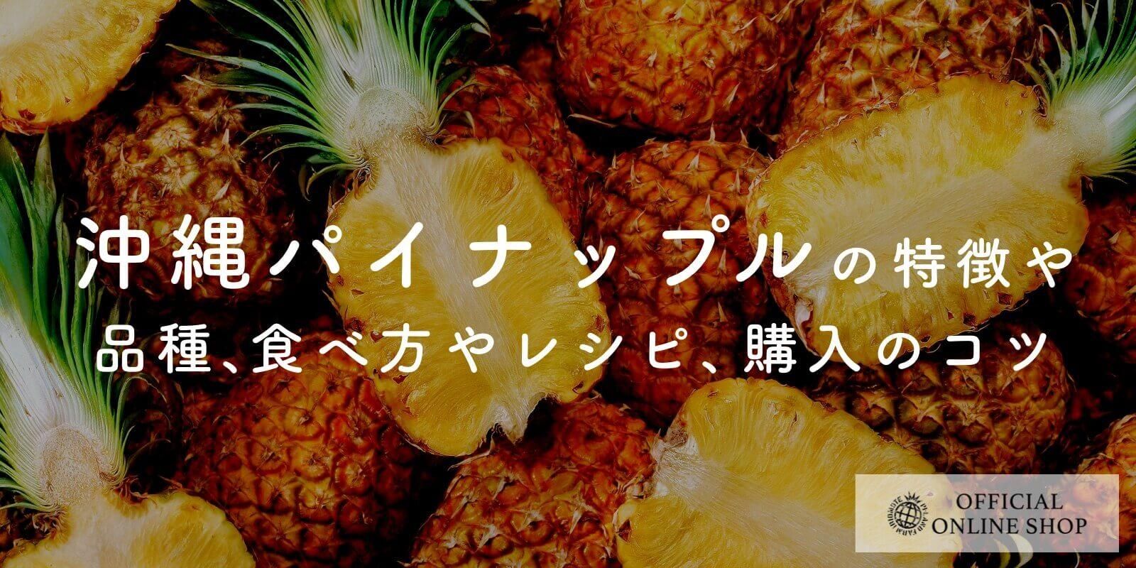 ѥʥåץħʼ쥷ԡΥġȥ륤᡼
