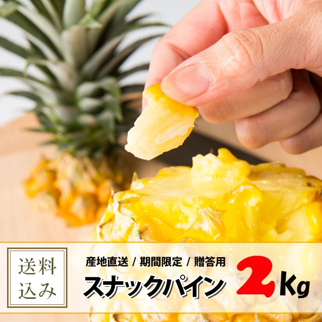 ͽ5/15ޤǡۥʥåѥ 2kg23̡ˡS-2ۡ5ܡ5ȯ<img class='new_mark_img2' src='https://img.shop-pro.jp/img/new/icons62.gif' style='border:none;display:inline;margin:0px;padding:0px;width:auto;' />