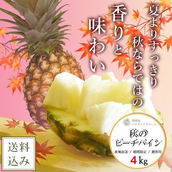 ڸ100å/1031ޤǼա[ѥ]ԡѥ 4kg46ˡ11ܺޤǽвͽʸ10ȯ<img class='new_mark_img2' src='https://img.shop-pro.jp/img/new/icons62.gif' style='border:none;display:inline;margin:0px;padding:0px;width:auto;' />