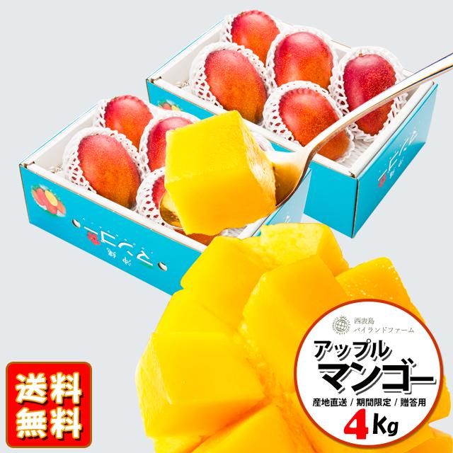 摘果マンゴー 11kg (未熟マンゴー(5、5kg) 猛々しい) 摘果マンゴー 11kg (未熟マンゴー(5、5kg) 猛々しい)