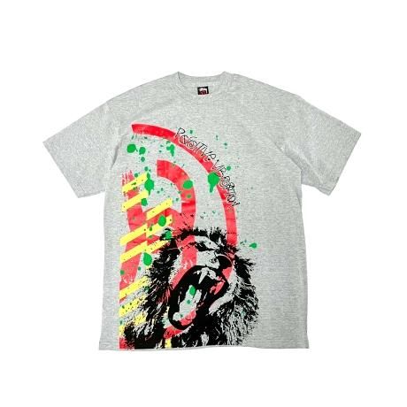 <div>STUSSY</div>S/S PRINT T-SHIRT<br>2000's Deadsdtock<br>LION<br>GRY