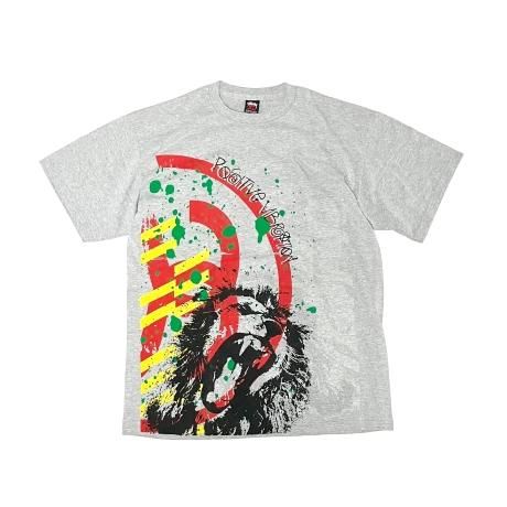 <div>STUSSY</div>S/S PRINT T-SHIRT<br>2000's Deadsdtock<br>LION<br>IRREGULAR