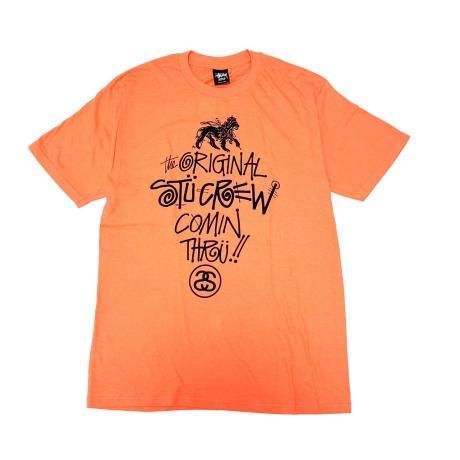 <div>STUSSY</div>S/S PRINT T-SHIRT<br>2000's Deadsdtock<br>LION<br>L.ORANGE