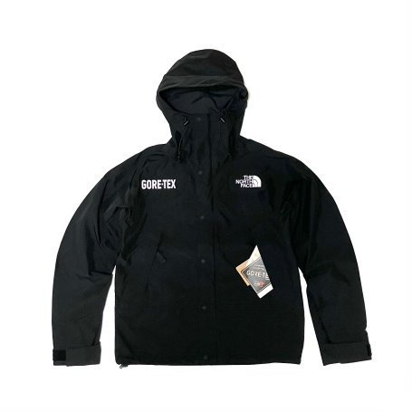 <div>THE NORTH FACE </div>GORE-TEX MOUNTAIN JACKET<br>BLACK