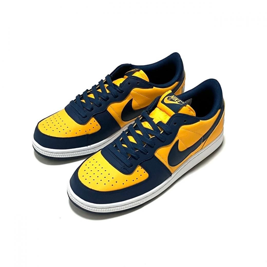 <div>NIKE</div>TERMINATOR LOW OG<br>NVYxGLD