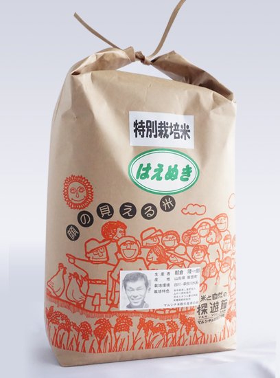 米/穀物はえぬき　20kg 中米　業務米　特別栽培米　山形　令和5件