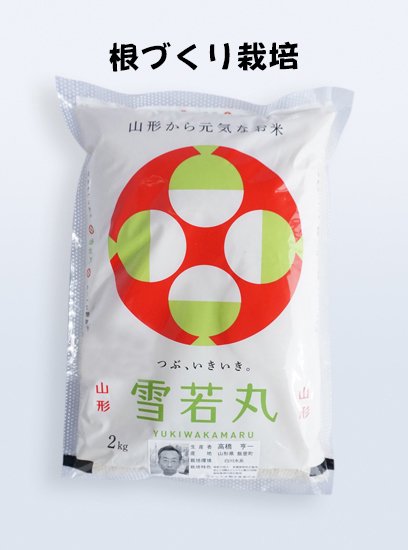 食品/飲料/酒雪若丸　20kg 中米　業務米　令和5年 山形　特別栽培米