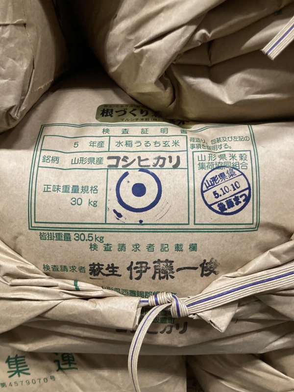 令和5年山形県産 コシヒカリ 玄米 ３０㎏ - 山形米 顔の見える米
