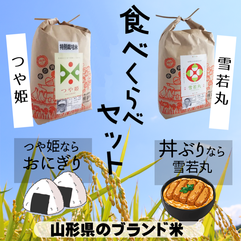 山形県産2大ブランド米 つや姫・雪若丸 贅沢食べ比べセット