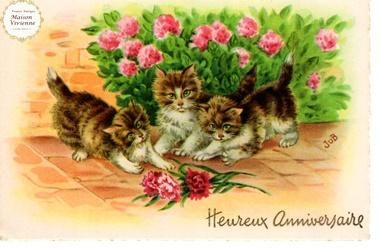 【未使用】フランスアンティーク　ポストカード カーネーションに興味津々な子猫たち【普通郵便送料無料】
