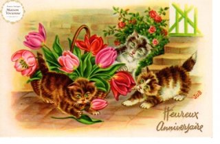 【未使用】フランスアンティーク　ポストカード チューリップに興味津々な子猫たち