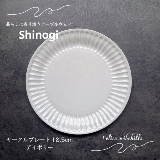 SHINOGI Τ ץ졼 18.5cm M  ܥ꡼ 