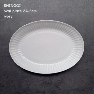 SHINOGI Τ Хץ졼 24.5cm M  ܥ꡼ 