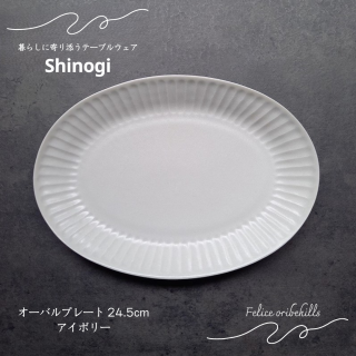 SHINOGI Τ Хץ졼 24.5cm M  ܥ꡼ 