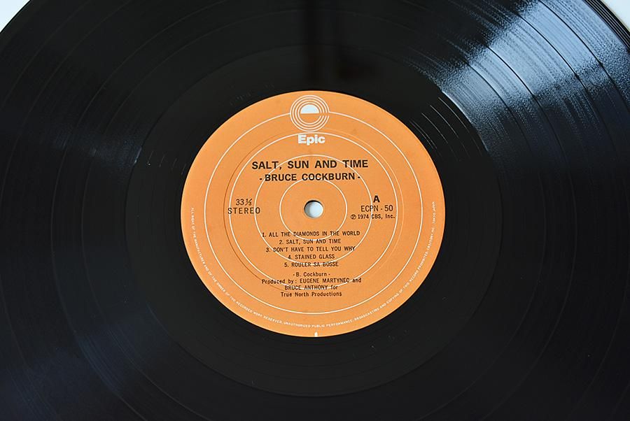 Bruce Cockburn – Salt, Sun And Time – Vinyl (Gatefold, LP