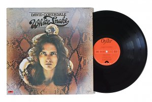David Coverdale / Whitesnake / ǥåɡǥ