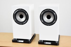 TANNOY Revolution XT 6