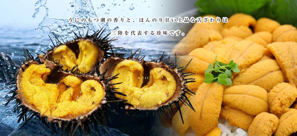 ˤΤĬιȡۤΤŤʤ夶ϻΦɽ̣Ǥ