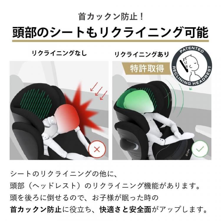 3年保証付き 2025年 DADWAY限定カラー サイベックス パラス G2 3年保証 新モデルパラスG2・DADWAY限定カラー サイベックス パラスG2