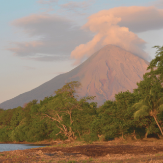 <img class='new_mark_img1' src='https://img.shop-pro.jp/img/new/icons14.gif' style='border:none;display:inline;margin:0px;padding:0px;width:auto;' />ڿ̸ۥ˥饰 󥿡ޥꥢǡǥM