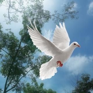 <img class='new_mark_img1' src='https://img.shop-pro.jp/img/new/icons14.gif' style='border:none;display:inline;margin:0px;padding:0px;width:auto;' />ڿ̸ۥ  ʥM