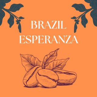 ブラジル エスペランサ（Sサイズ）