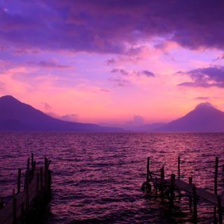 <img class='new_mark_img1' src='https://img.shop-pro.jp/img/new/icons14.gif' style='border:none;display:inline;margin:0px;padding:0px;width:auto;' />ڿ̸ۥƥޥ ƥ ԡ٥꡼S