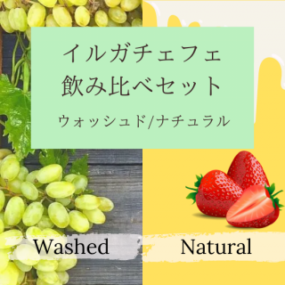 10OFF/Webʸۥ륬ե٥åȡ2